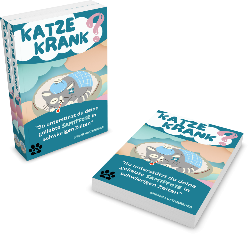 Katze krank Buch Cover