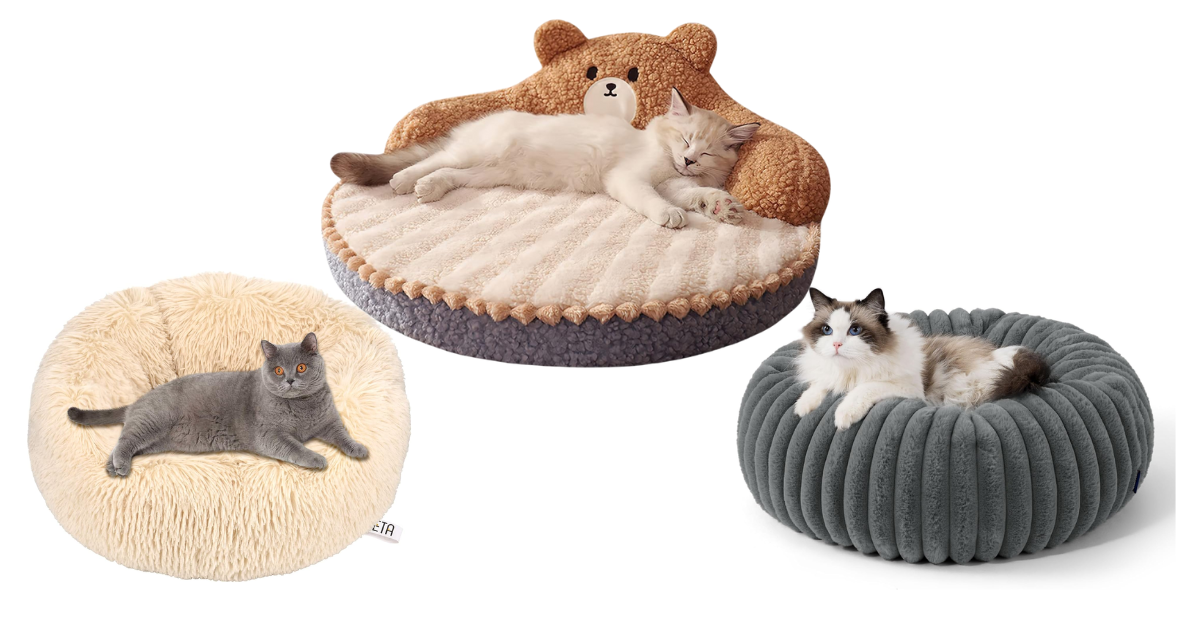 Katzenbett